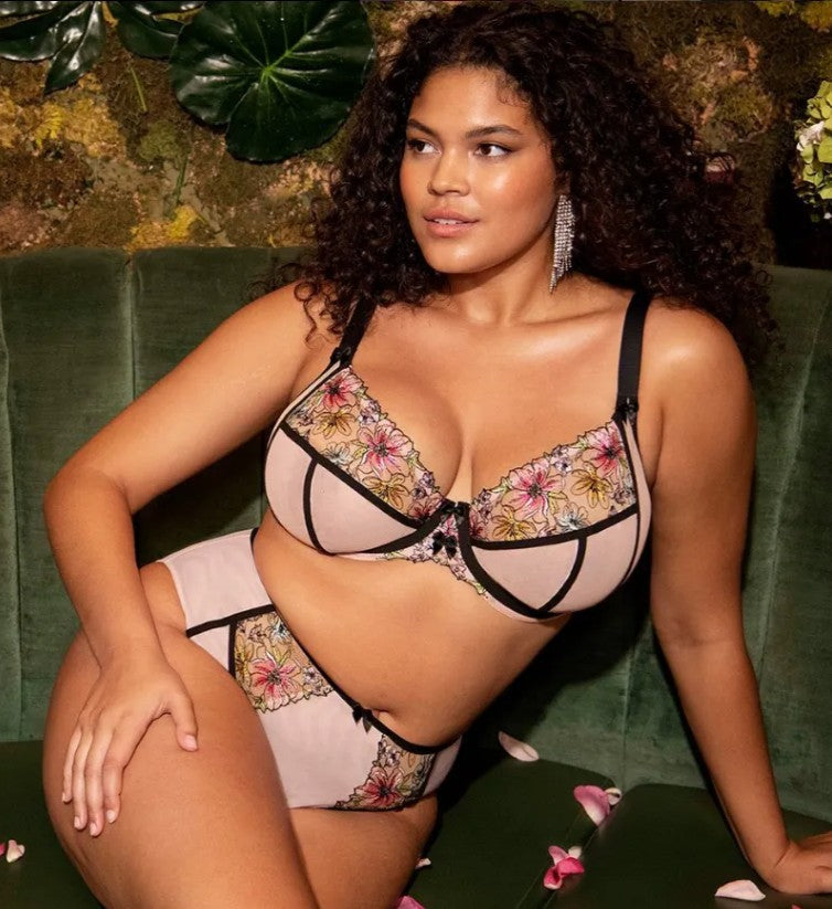 Curve Collection
